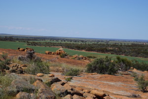 View from the top