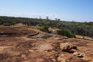 Water harvesting wall