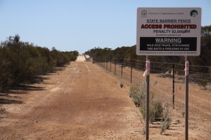 On the Hyden Norseman Road
