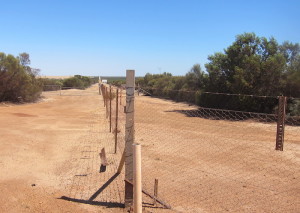 Barrier Fence