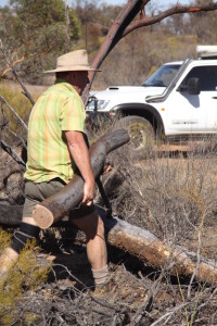 Kim removing a log from the track