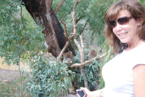 Tammy with koalas.