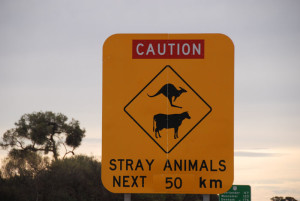 Common sign in outback pastoral country.