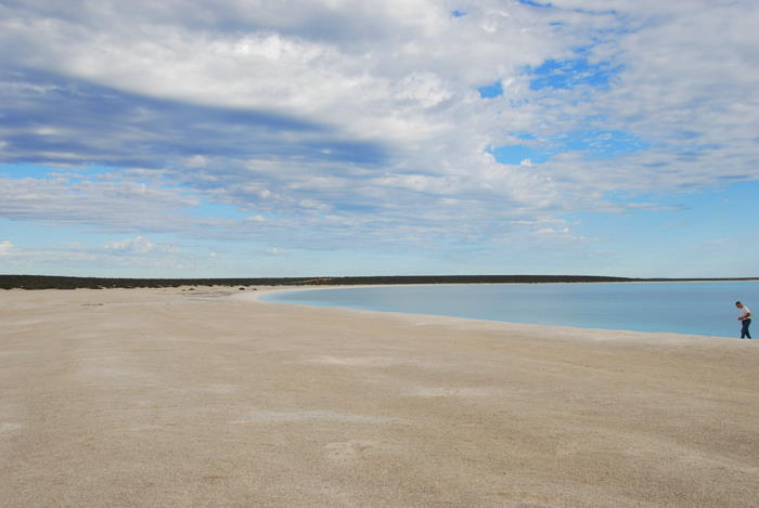 Shell Beach covers a 110 km stretch of L'Haridon Bight. It is one of only two beaches in the world made entirely of shells, billions of tiny coquina bivalve shells.