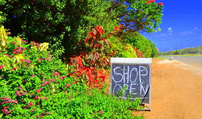 Fruit sales at plantation.