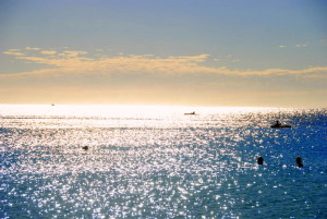 Coral Bay