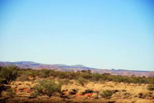 Start of Pilbara country.