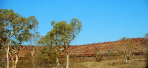 Train taking the iron ore from Tom Price to the port of Dampier.An iron ore train consists of up to 236 wagons, each having a load capacity of up to 106 tonnes. Trains are up to 2.4 kilometres long and, fully loaded, weigh approximately 29,500 tonnes.