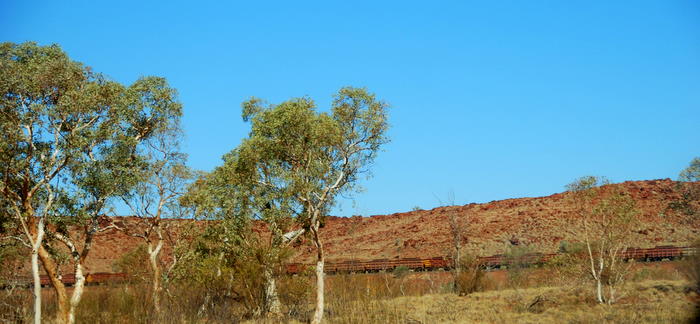 Train taking the iron ore from Tom Price to the port of Dampier.An iron ore train consists of up to 236 wagons, each having a load capacity of up to 106 tonnes. Trains are up to 2.4 kilometres long and, fully loaded, weigh approximately 29,500 tonnes.