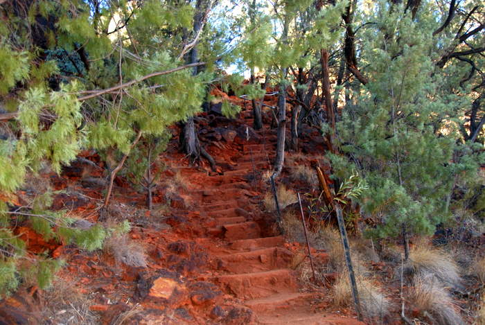 Steps to Dales Gorge