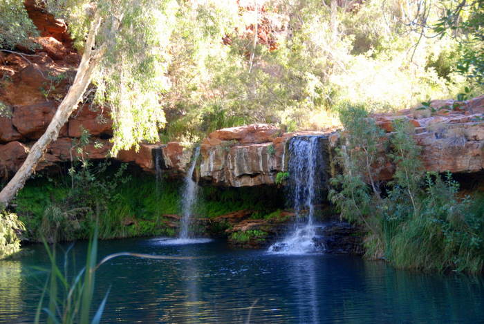 Fern Pool