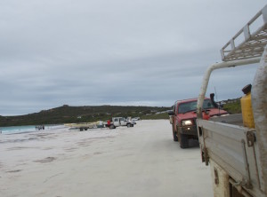 Rodeo and GU Ute at Lucky Bay.
