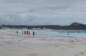 Lucky Bay tourists.