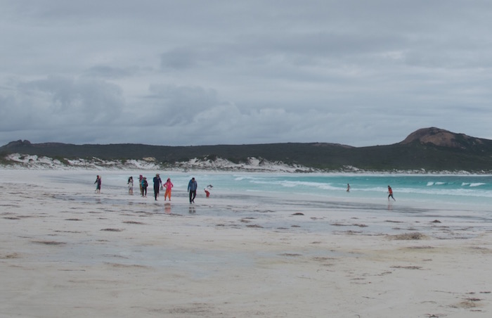 Lucky Bay tourists.