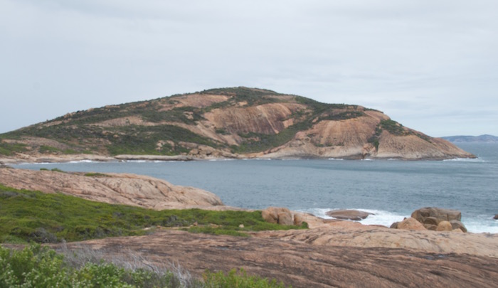 Thistle Cove