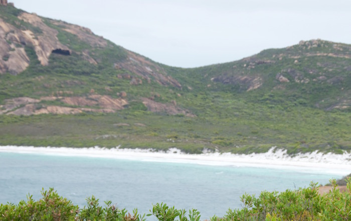 Thistle Cove