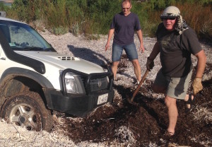 Hard work shifting seaweed *
