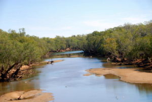 Fitzroy River at Willare, 2010.
