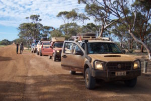 At-Rabbit-Proof-Fence