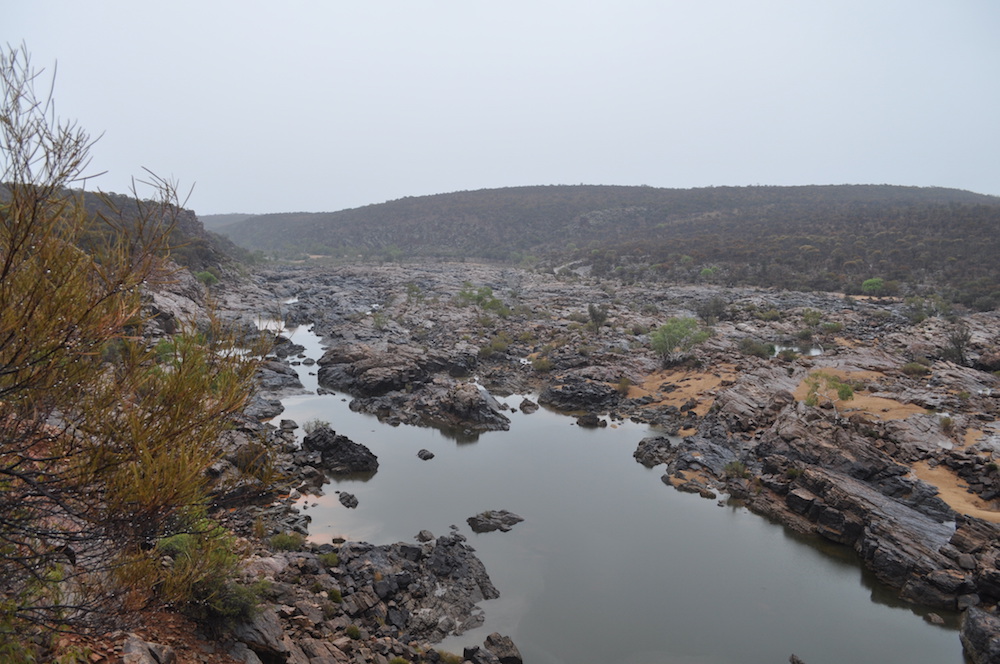 Looking downriver from the end of the access track.