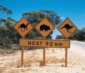Signs such as this have become iconic as representative of outback Australian travel.