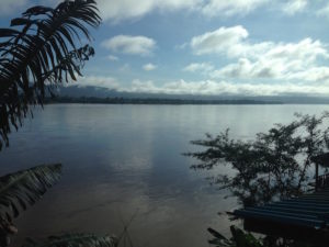 View from bedroom window