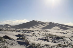 Bilbunya Dunes