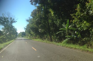 'Banana Tree Road'