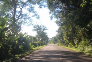This section of Route 211