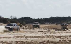 Paul and Lauren, Dan and Dee, and Greg.