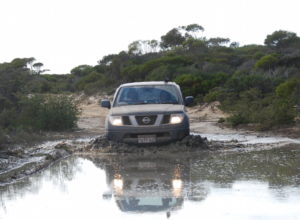 Paul drove through the middle of the mudhole.