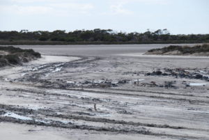 Lake Daringdella, near Israelite Bay.