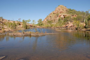 Bell Creek