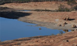 Large gnamma at Burra Rock.
