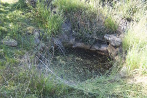 Burracoppin Well before clearing.