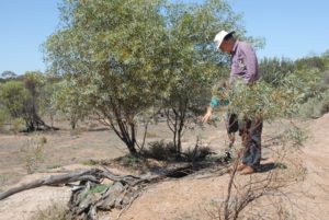 Rob and Clinton at Duladgin.