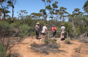 Rob, Kim, Joe and Peter.