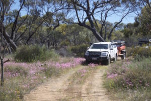 Greg and Margot in their Colorado.