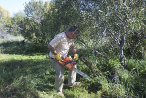 Joe attacks tree.