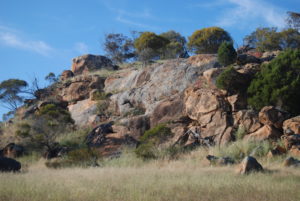 We camped at Mindebooka Hill.