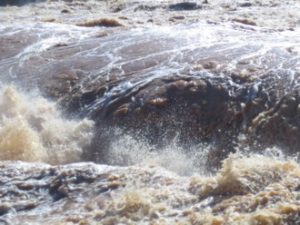 Hardabut Rapids