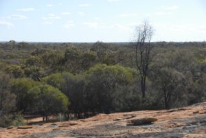View from Yerdanie Rock.