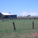 Byro Woolshed