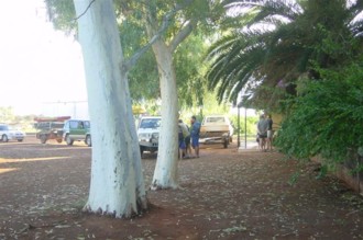 Beautiful red river gums.