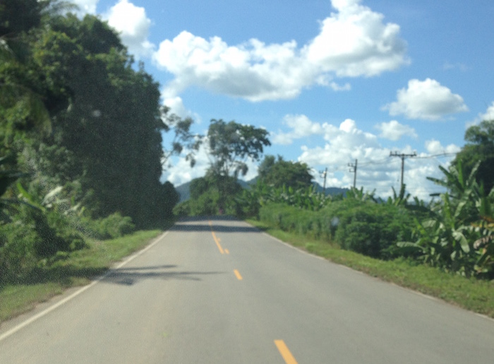 The highway is lined with banana trees, yams and assortment of cropping trees
