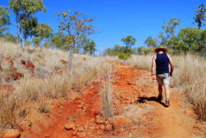 On the track into Lennard Gorge.