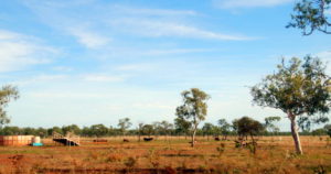 Cattle yards.