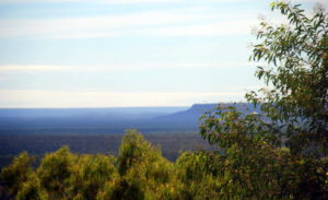 Rangelands around Mt House.