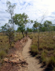 Track to Manning Gorge.