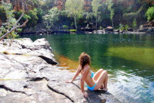 Manning Gorge Vixen